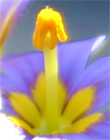 Photography Exhibit
